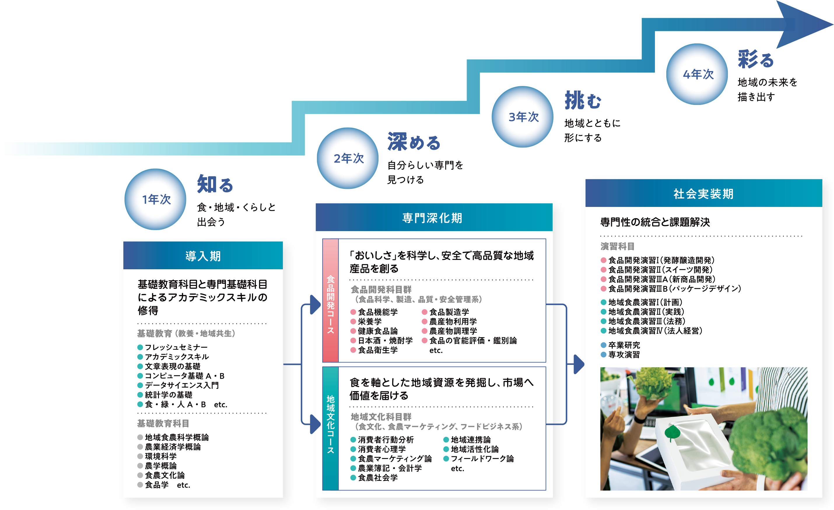 4年間の学びの道の図